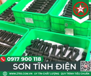 son-tinh-dien-1