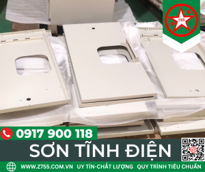 son-tinh-dien-chong-gi-3